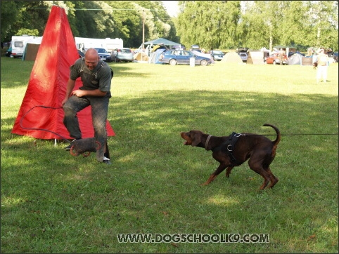 Training camp - Lukova 2007